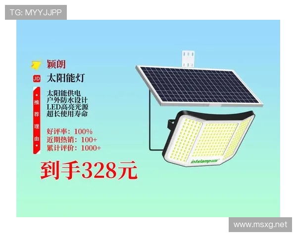 颖朗太阳能灯携手深圳新鹏城公益